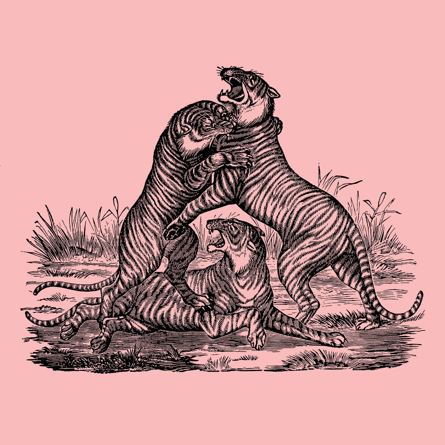 Animal Tattoo Symbolism Around The World