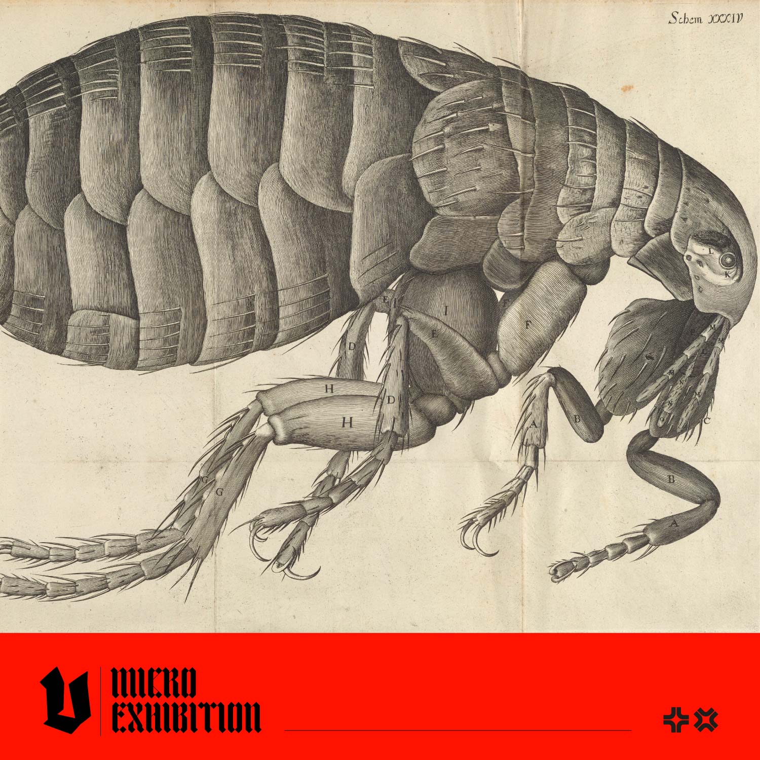 Exploring the Significance and Symbolism of Insects in Art