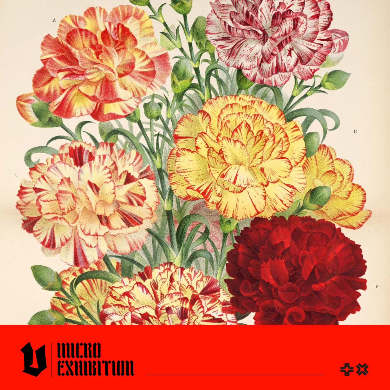 How to Add Symbolism and Meaning to Your Art with Botanical Images