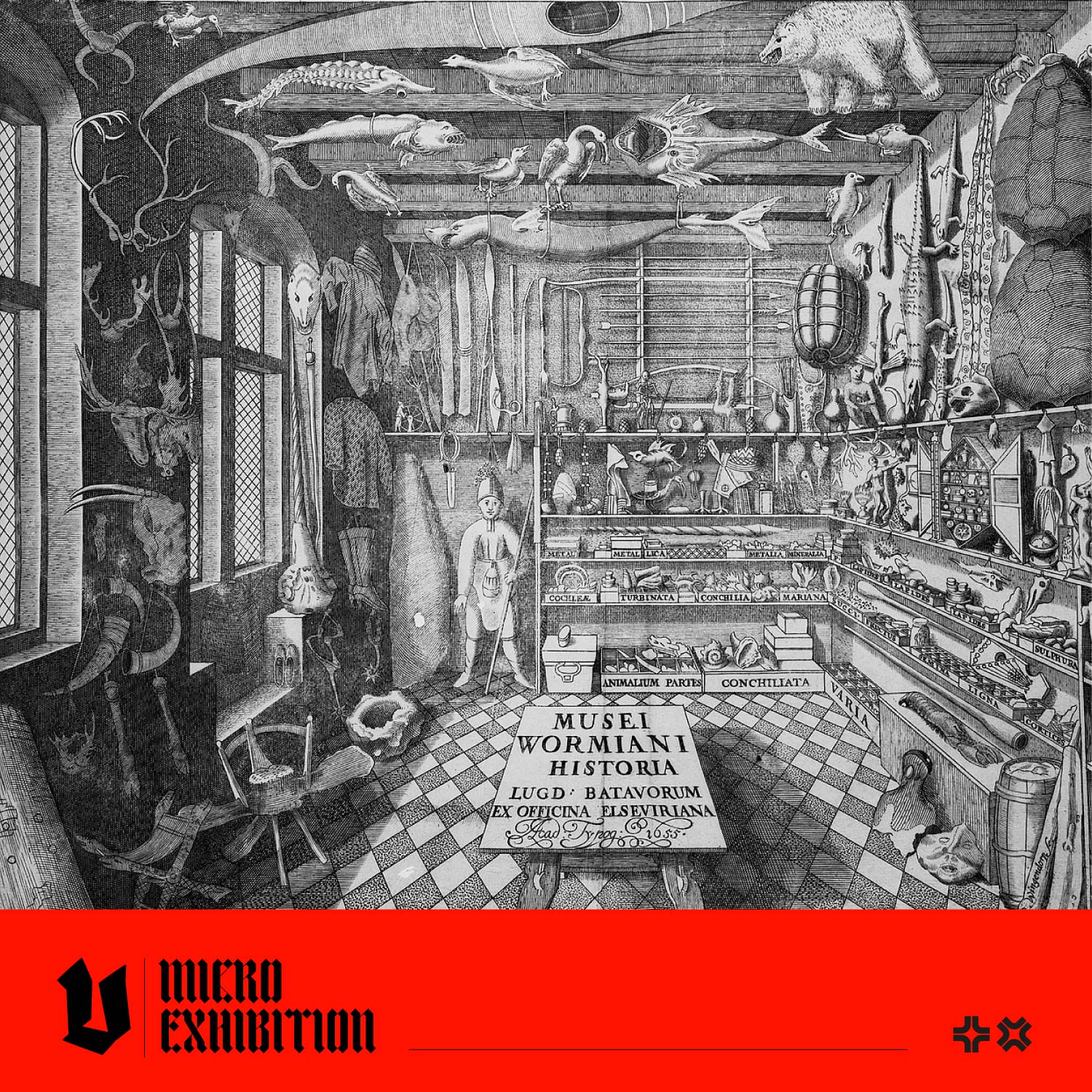 Wunderkammer Explained: Explore Cabinets of Curiosities