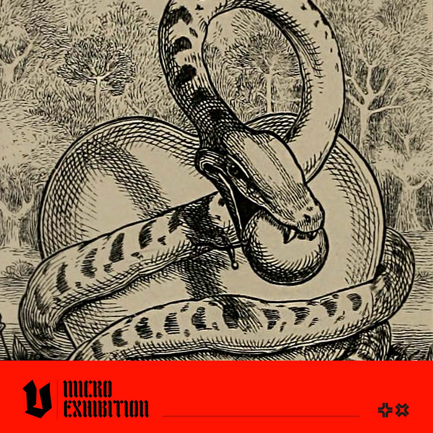 Emblems Unveiled: Decoding Hidden Meanings in Design