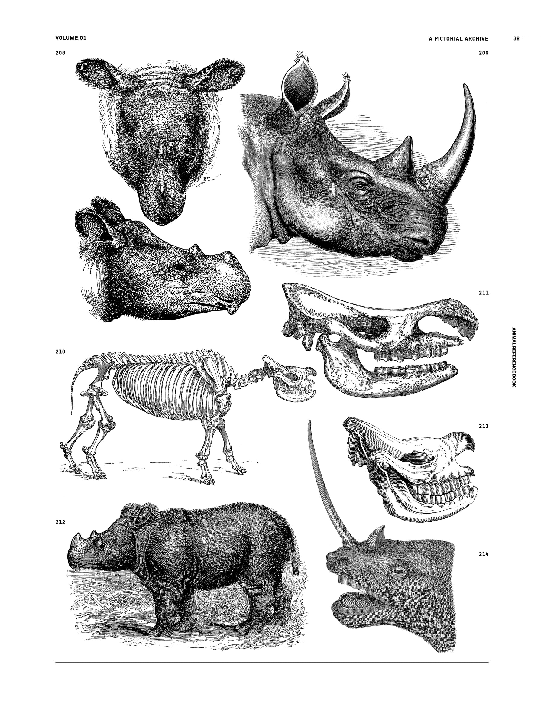 Animal Reference Book (Digital Product)