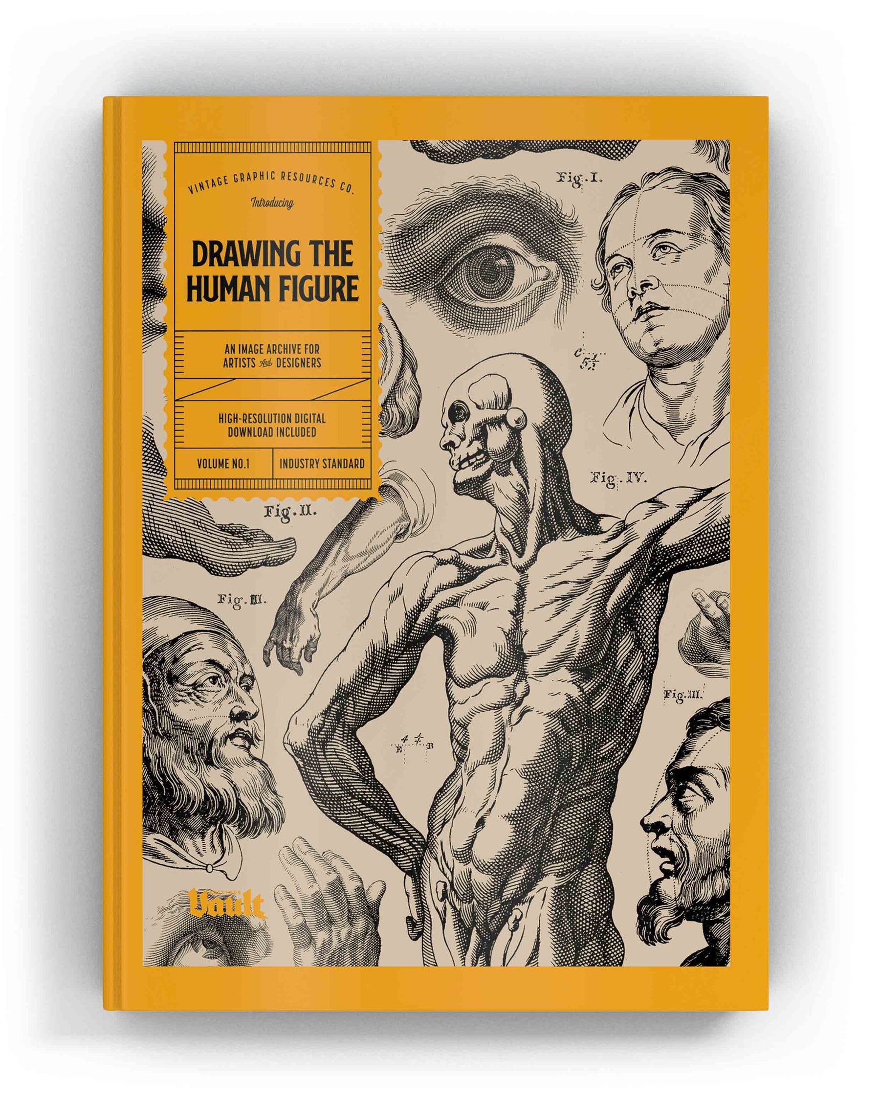 Drawing The Human Figure (Digital Product)