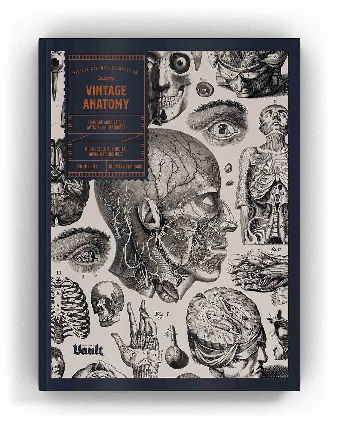 Vintage Anatomy (Digital eBook)