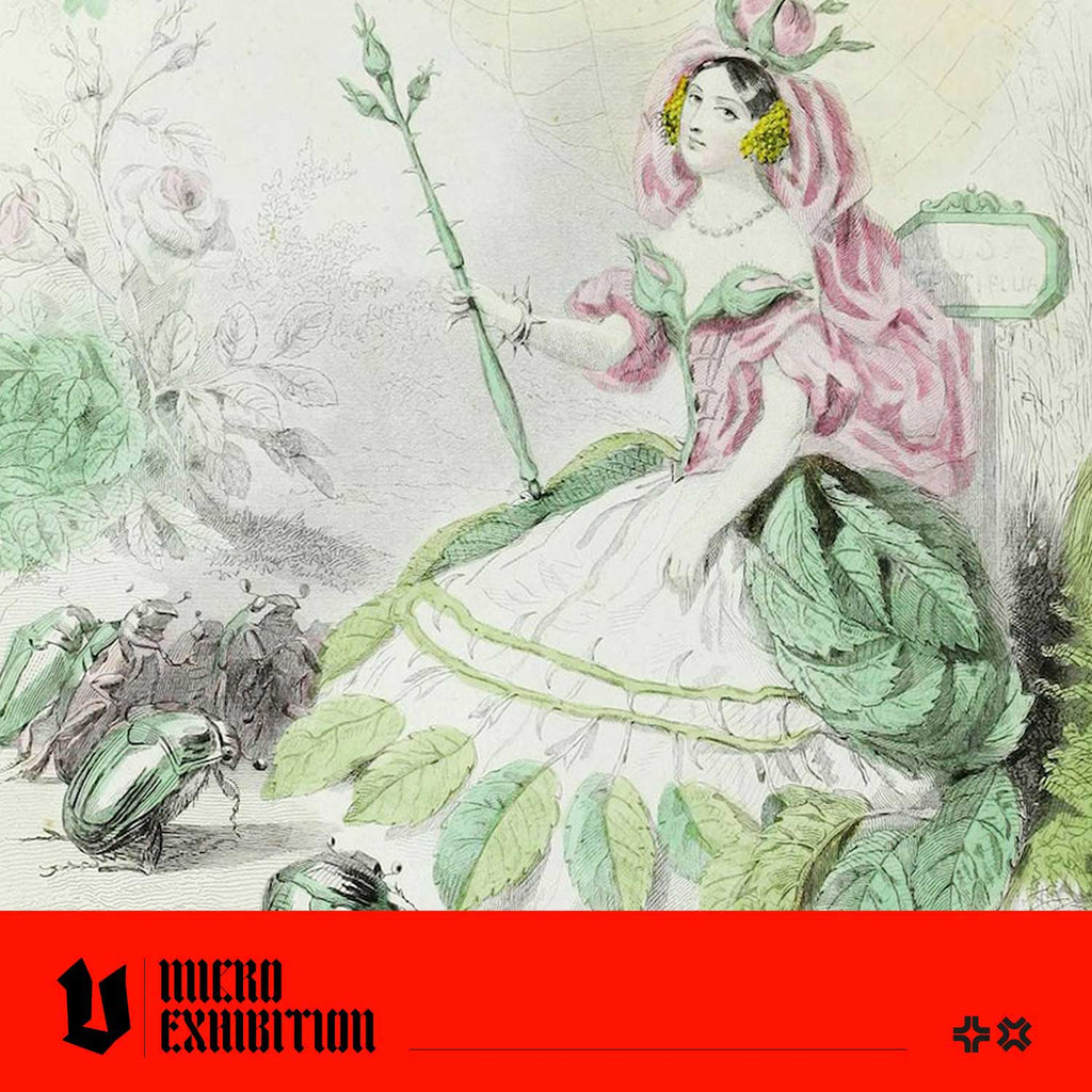 Symbolism and Satire in J. J. Grandville's The Flowers Personified