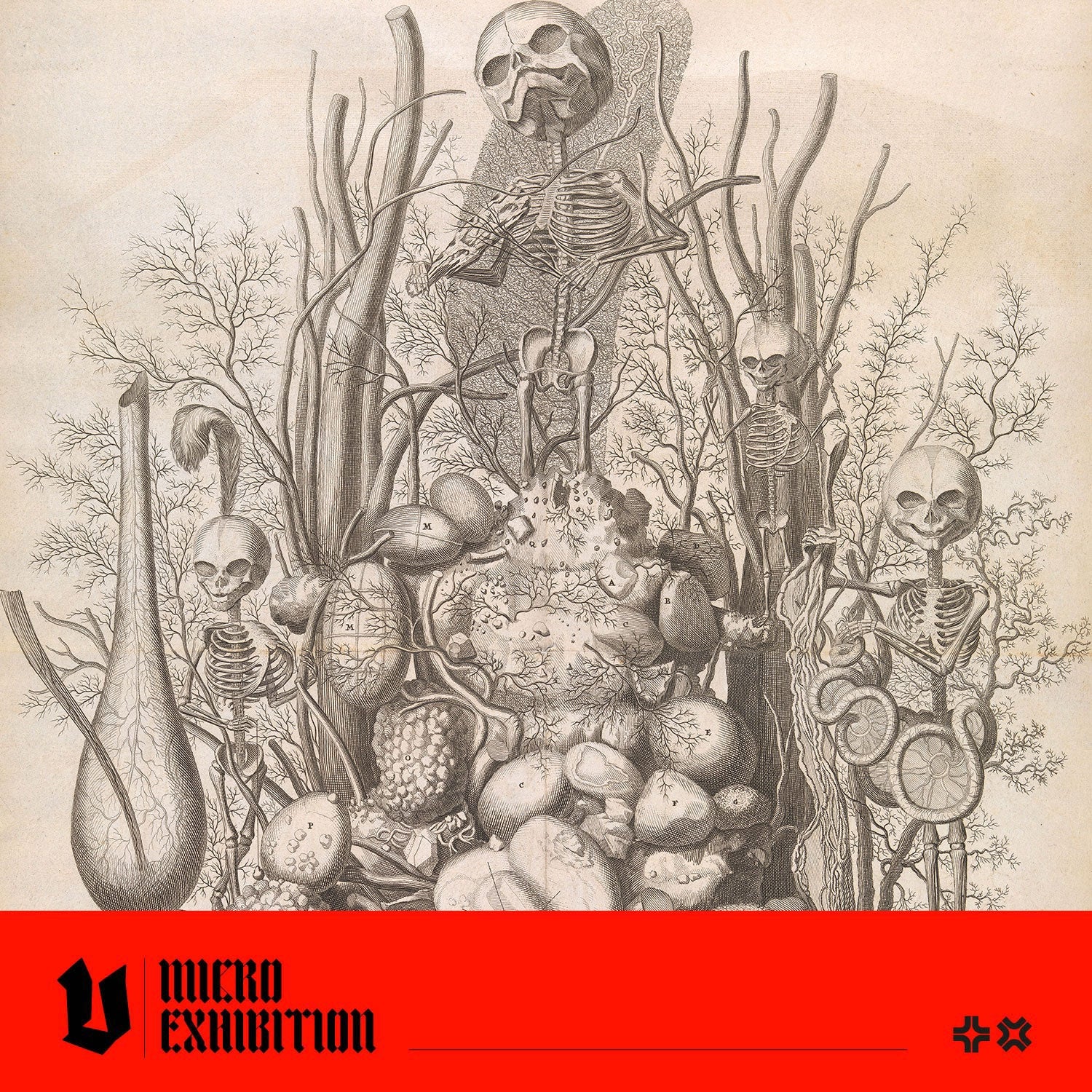 Frederik Ruysch: The Man Who Made Death Beautiful