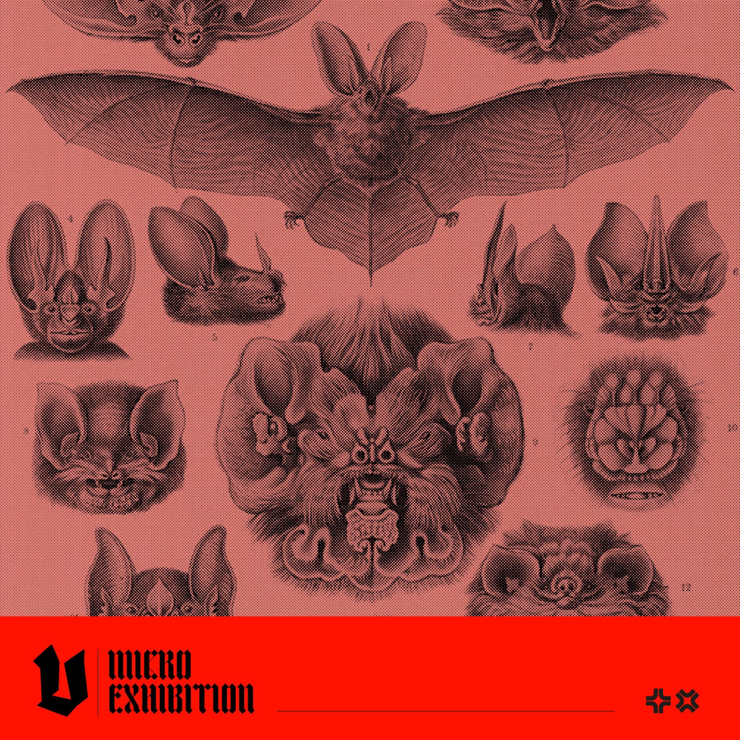 The Symbolism of Bats in Art: Understanding their Significance Across Cultures