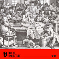 Anatomical Theatres and Public Dissections: A Glimpse into the Origins