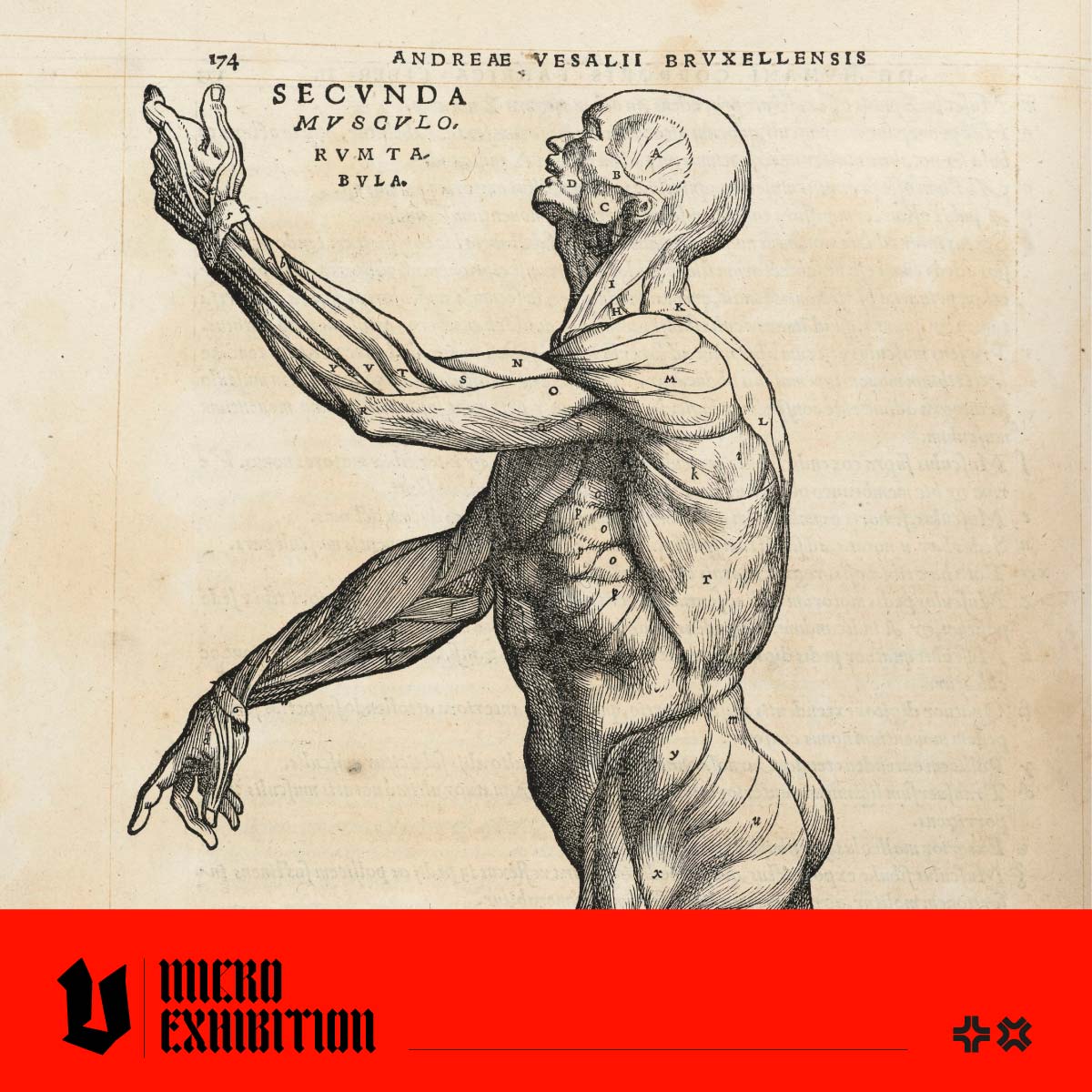 Andreas Vesalius: The Founder of Modern Anatomy