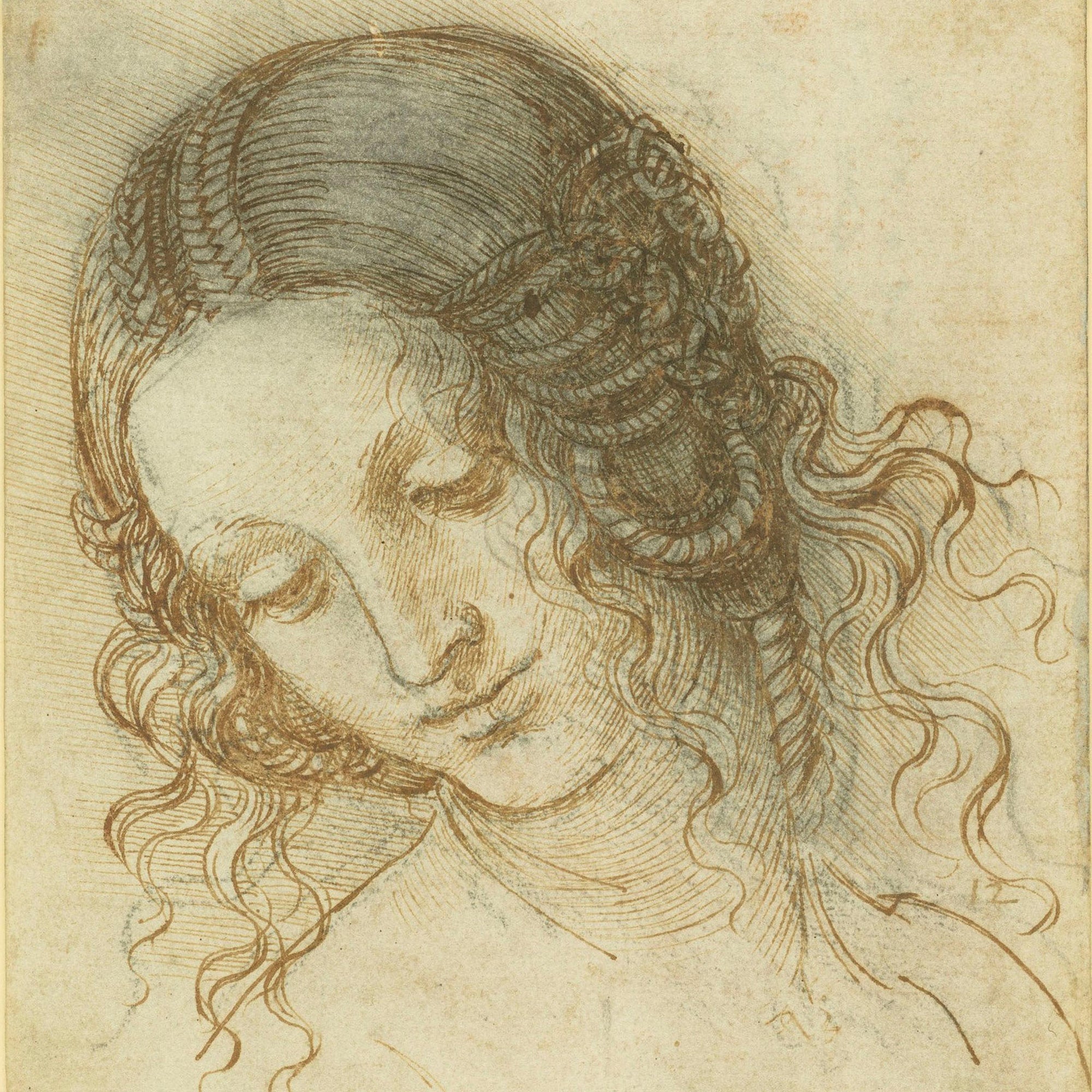 An Introduction to Leonardo Da Vinci's Anatomical Drawings