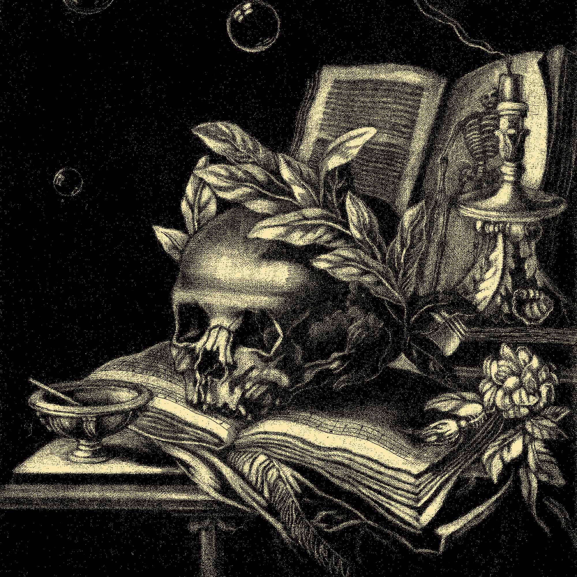 What are vanitas paintings and what do they symbolise?