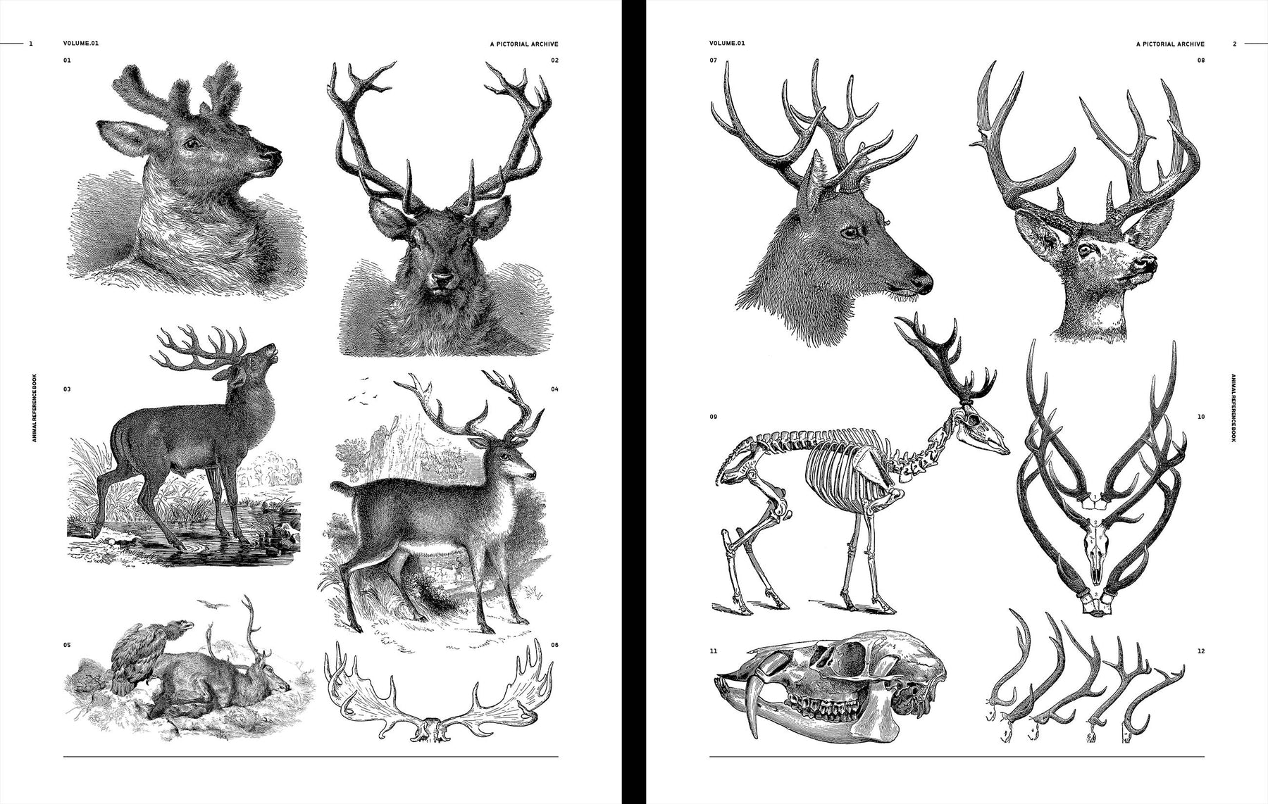 Animal Reference Book