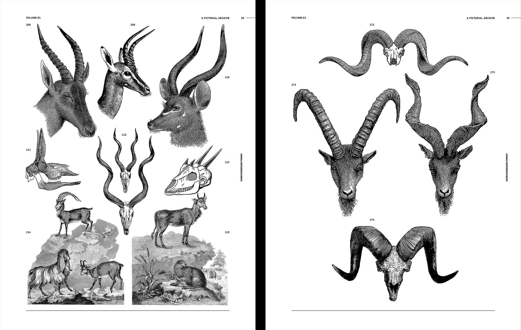 Animal Reference Book
