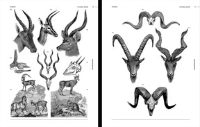 Animal Reference Book