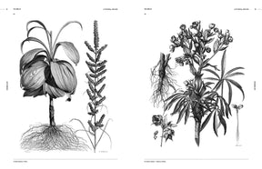 Botanical Art (Digital Product)