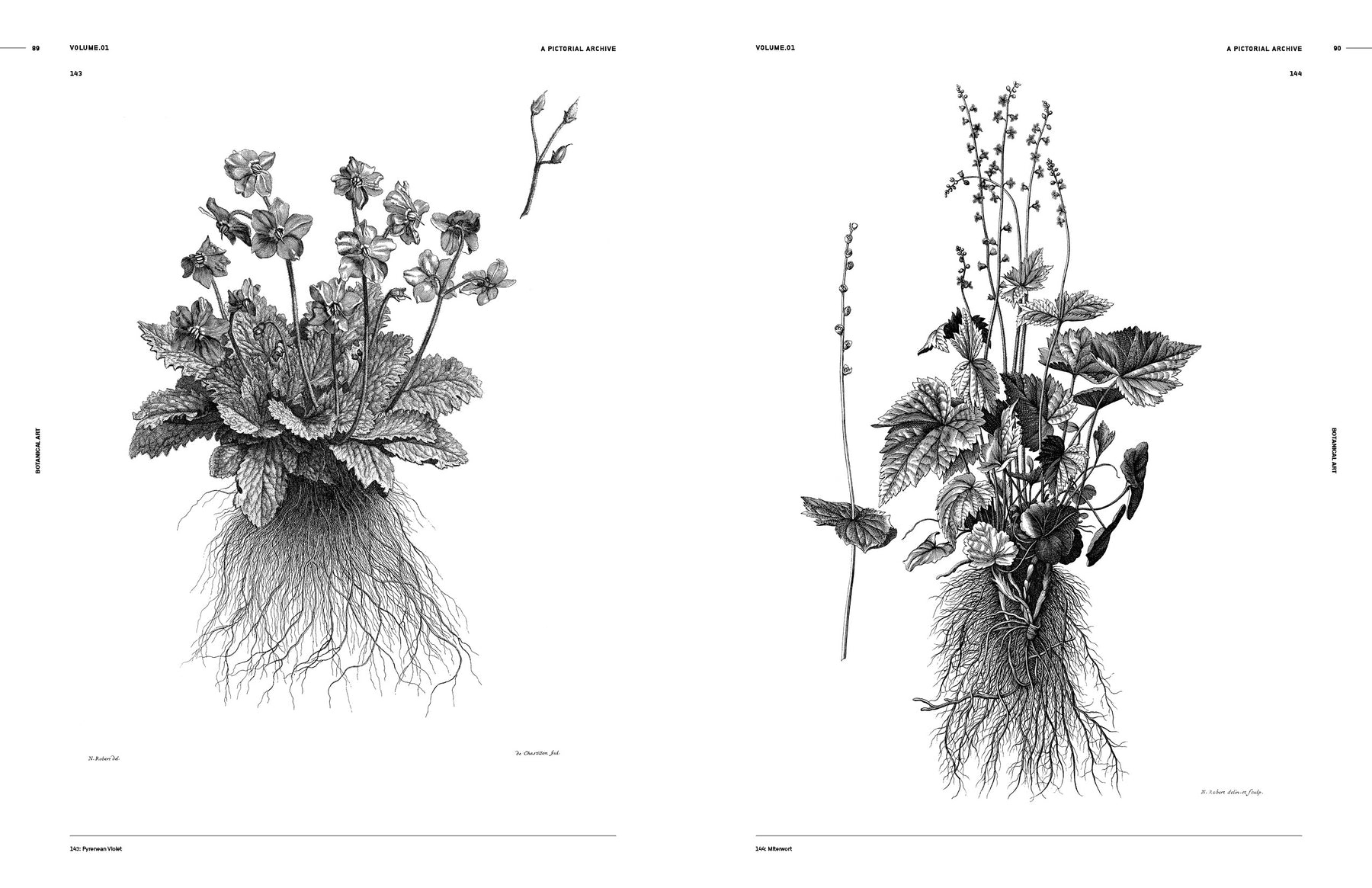 Botanical Art (Digital Product)
