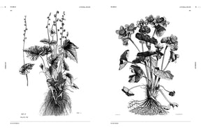 Botanical Art (Digital Product)
