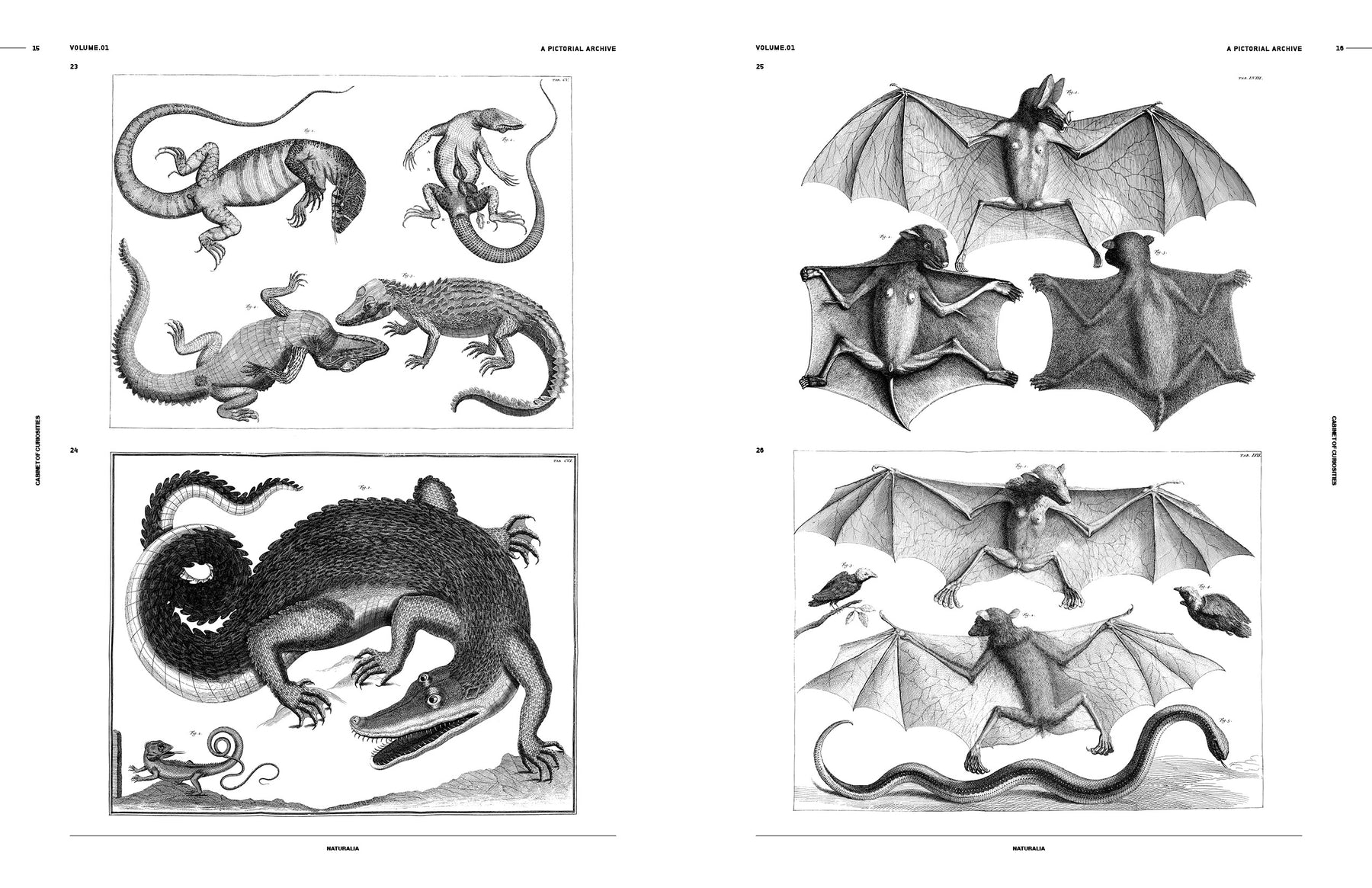 Cabinet of Curiosities (Digital Product)
