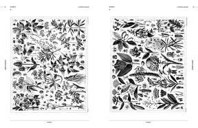 Cabinet of Curiosities (Digital Product)