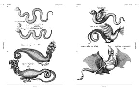 Cabinet of Curiosities (Digital Product)