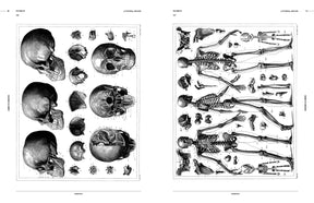 Cabinet of Curiosities (Digital Product)