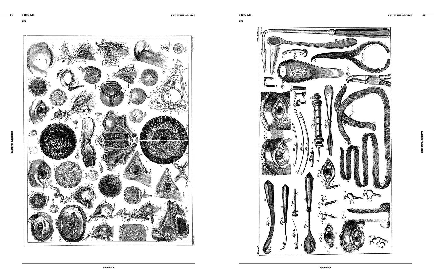 Cabinet of Curiosities (Digital Product)