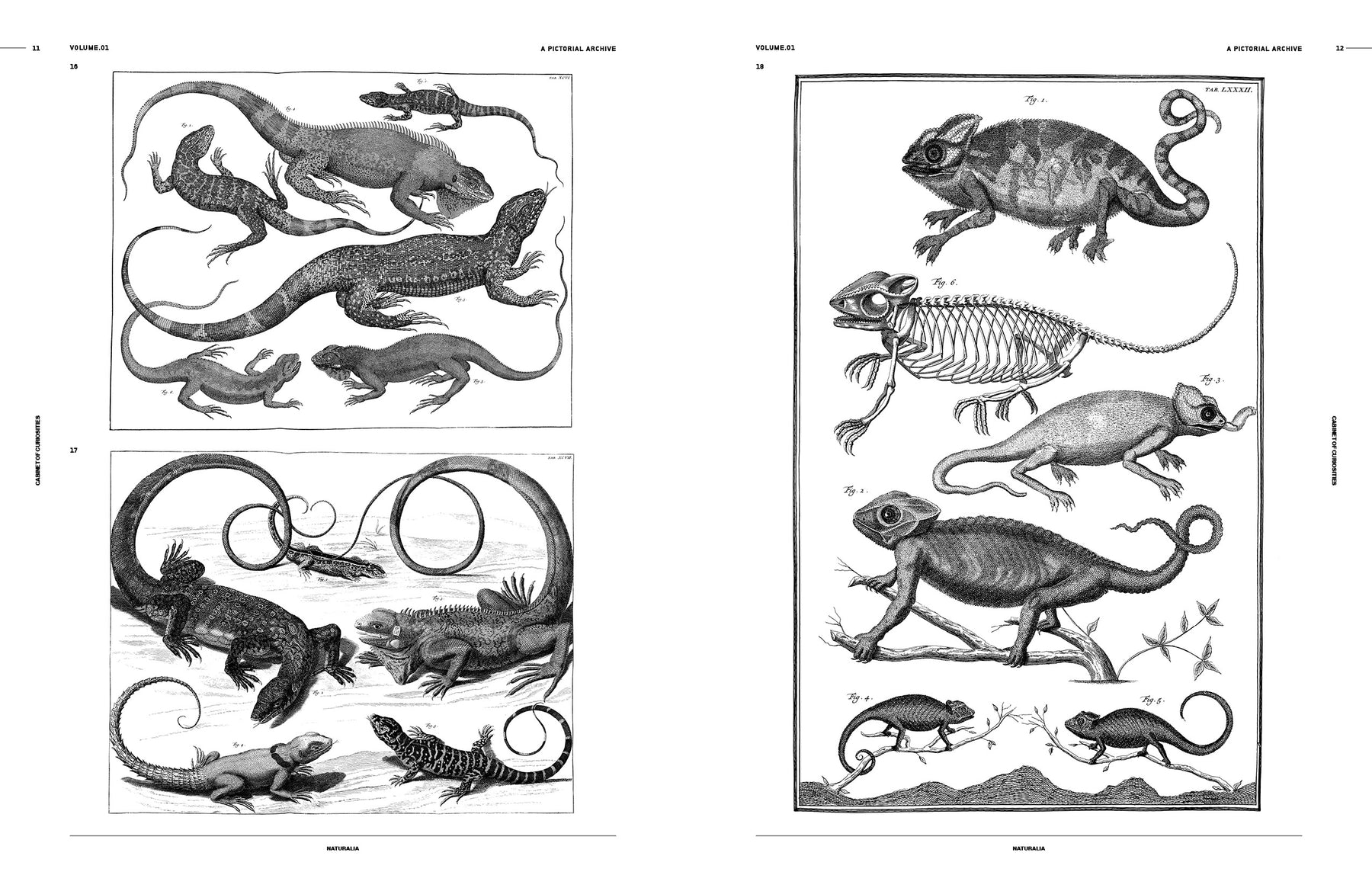 Cabinet of Curiosities (Digital Product)