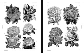 Flowers & Plants