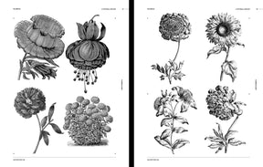 Flowers & Plants
