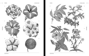Flowers & Plants