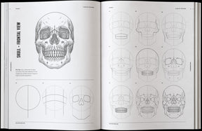 How to Draw Skulls