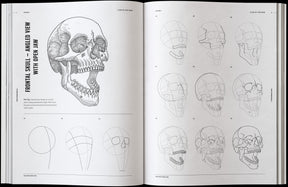 How to Draw Skulls