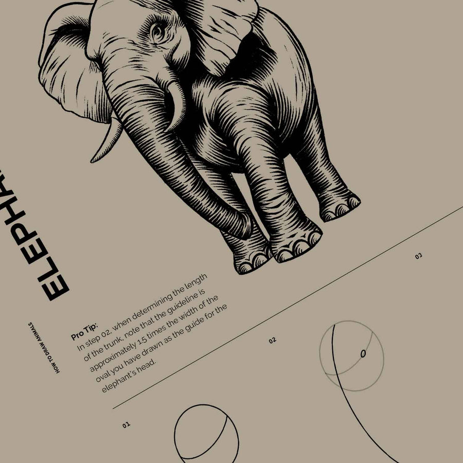 How To Draw Animals Book