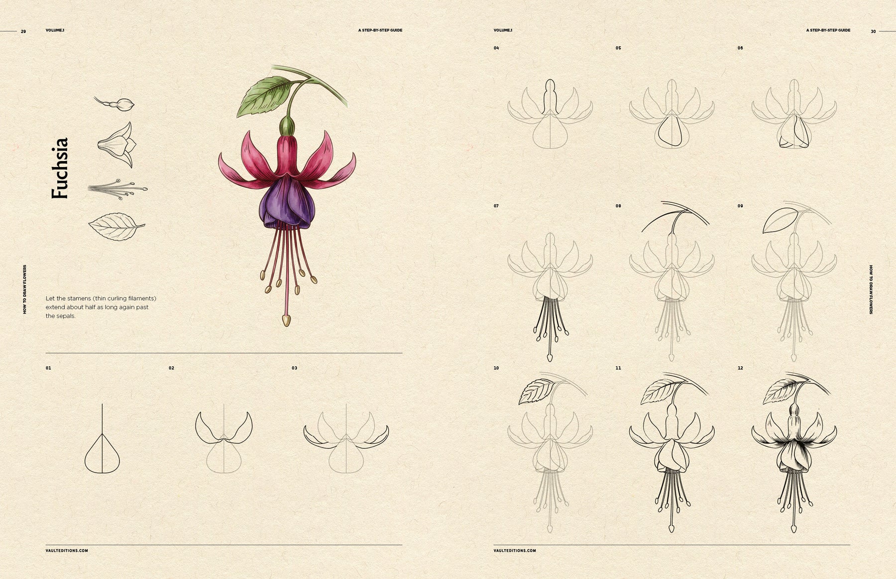 How to Draw Flowers for Beginners (Digital Product)