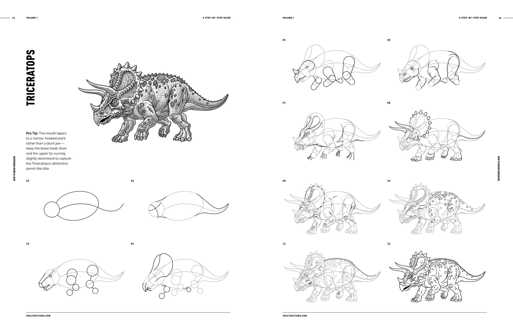 How to Draw Dinosaurs (Digital Product)