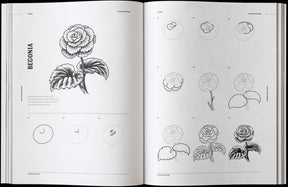 How to Draw Flowers