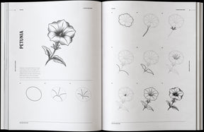How to Draw Flowers