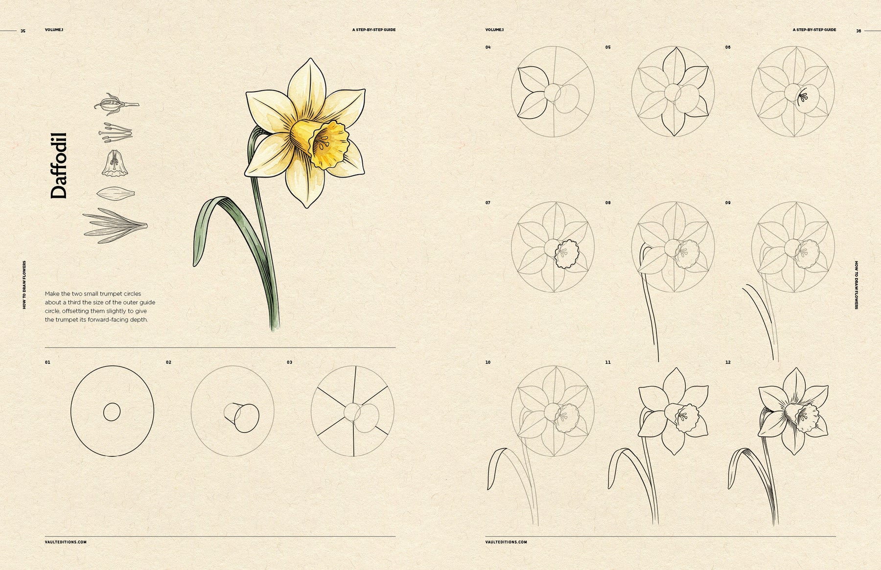 How to Draw Flowers for Beginners (Digital Product)