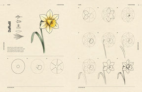 How to Draw Flowers for Beginners (Digital Product)