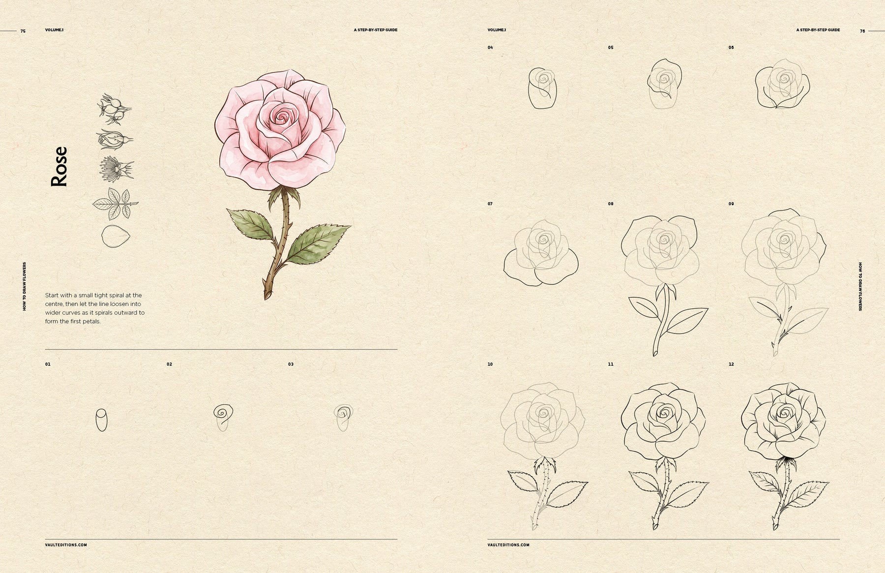 How to Draw Flowers for Beginners (Digital Product)