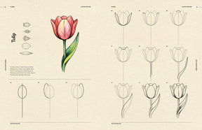 How to Draw Flowers for Beginners (Digital Product)