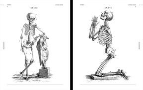 Skulls & Skeletons