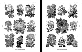 Tattoo Inspiration Compendium Vol.2