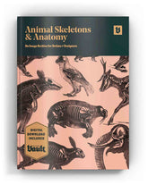 Animal Skeletons & Anatomy (Digital eBook)